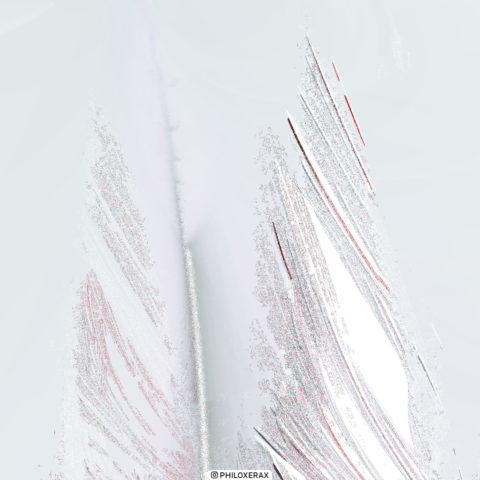 Fractal 069 A - Angel wings