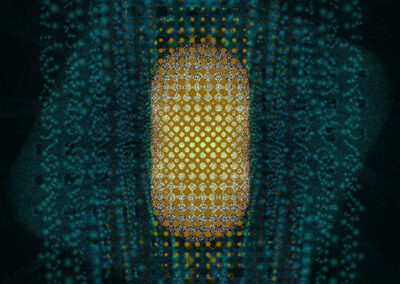 Fractal 119 B – Civilization