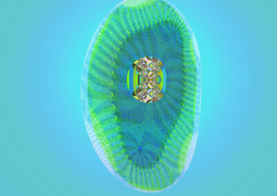 Fractal 150 D – secret DNA