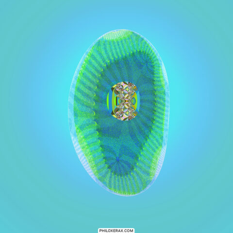 Fractal 150 D – secret DNA
